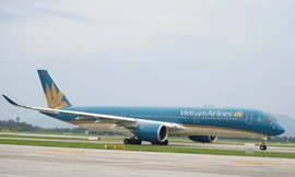 Doanh thu của hãng bay quốc gia tăng mạnh