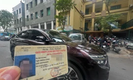 Vì sao không nên để bằng lái xe hết hạn dù chỉ 1 ngày? 