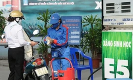 Vì sao xăng E5 nguy cơ 'chết yểu'?