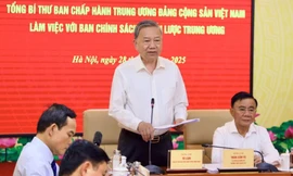 Tổng Bí thư Tô Lâm: Xóa bỏ độc quyền Nhà nước về vàng miếng 