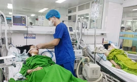 Phú Thọ: Hai chị em 'thập tử nhất sinh' do ăn nhầm lá ngón