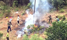 Cảnh báo cháy rừng cấp nguy hiểm tại 53 xã Tuyên Quang