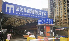 Chợ hải sản ở Vũ Hán – nơi bị tình nghi khởi phát coronavirus mới. Ảnh: Kyodo.