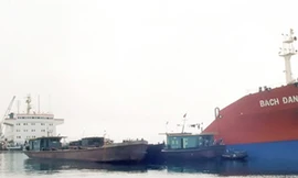 Giám định tư pháp: Nhiều kẽ hở