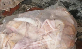 Hơn 100 tấn nội tạng thối tuồn ra thị trường