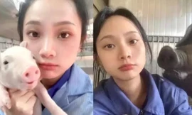 Cô gái 26 tuổi bỏ việc lương cao để làm nghề... nuôi lợn