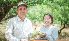 Nhiều người trẻ Nhật Bản rời phố về nông thôn sau đại dịch 