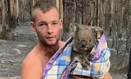 Chàng trai 22 tuổi thành anh hùng cứu gấu koala trong cháy rừng ở Úc