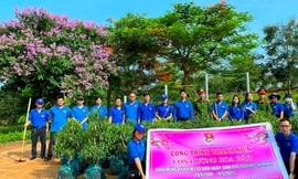 Bạn trẻ Đắk Lắk check in đường hoa đào