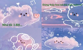 Loạt câu nói 'hot trend' hài hước của giới trẻ trên mạng xã hội