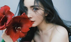 Dương Mịch quyến rũ và xinh đẹp như hoa đón năm mới