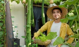 Chàng trai biến sân thượng ở TPHCM thành 'vườn chữa lành' sum sê