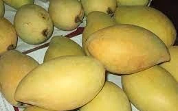 Xoài cát Hòa Lộc rớt giá thê thảm, chất đống bán vài nghìn/kg