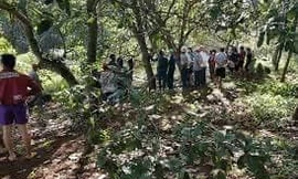 Nam sinh lớp 10 tử vong trong tư thế treo cổ phía sau nhà