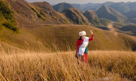 Check-in điểm 'sống ảo' mới nổi đồi cỏ cháy đẹp như phim ở Cao Bằng