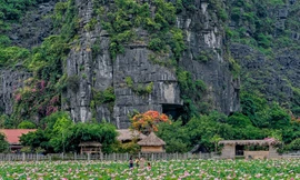 Tiếc hùi hụi vì bỏ lỡ mùa sen, vẫn còn hồ sen này đang nở rộ hút bạn trẻ