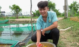 Chọn cá như lựa người mẫu, chàng trai 9x thu gần 2 tỷ đồng/năm