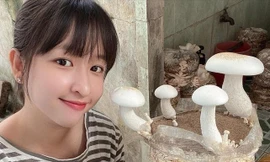 Phạm Thị Phước Vân bên sản phẩm nấm của mình 