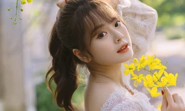 Nữ sinh Học viện Tài chính xinh như búp bê dưới dàn hoa vàng rực