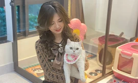 Khách sạn thú cưng 'cháy phòng', nhân viên tất bật làm xuyên Tết