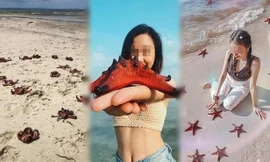 Dân mạng chỉ trích mạnh mẽ việc 'sống ảo' khiến sao biển chết khô 