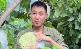 Đưa nông sản lên mạng, nông dân kiếm 200 triệu đồng/lần phát trực tiếp