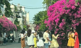 Giới trẻ đổ xô đến nhà hoa giấy gây sốt, chủ nhà ở TPHCM 'kêu cứu'