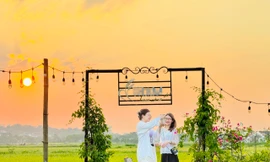 Quán cà phê giữa cánh đồng lúa chín vàng ở ngoại ô Hà Nội thu hút giới trẻ 