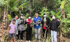 Ươm mầm sinh kế cho đồng bào nghèo