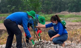 Đồng Tháp phát động chương trình trồng 1 tỷ cây xanh - Vì một Việt Nam xanh