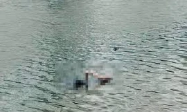 Bản tin 8H: Công an thông tin vụ nam thanh niên tử vong ở hồ Linh Đàm