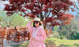 Giới trẻ nô nức check-in bên cây phong lá đỏ tại Sa Pa