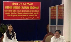 Giám sát Nghị quyết 25