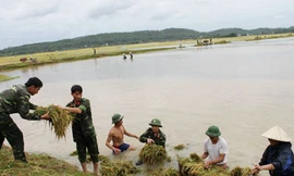 Mười người mất tích trên biển vì bão