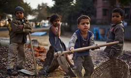 Những phận đời “Osin” nhí