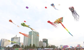 Sở Du lịch Đà Nẵng yêu cầu các doanh nghiệp kinh doanh lữ hành tạm dừng khai thác các tour du lịch đưa khách đi và đến từ các vùng có dịch tại Hàn Quốc