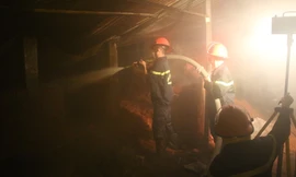 Trại dế rộng 1000m2 bị thiêu rụi trong đêm