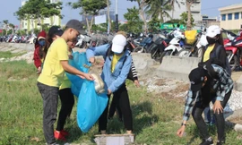 1.000 TNV chung tay dọn sạch rác Sơn Trà