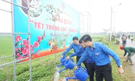 Trong năm 2020, Tuổi trẻ Đà Nẵng sẽ phấn đấu trồng khoảng 20.000 cây xanh để góp phần tạo cảnh quan môi trường xanh – sạch – đẹp