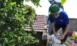 Tổ phản ứng nhanh 'Áo xanh' giúp dân chống bão số 9 