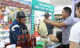 Hội chợ hàng Việt và nông sản sạch năm 2017 thu hút sự tham gia của người dân Đà Nẵng. Ảnh: Giang Thanh