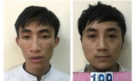 Hai đối tượng cướp giật tài sản của du khách nước ngoài