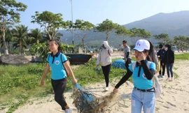 Trong khuôn khổ dự án Đại dương không nhựa, 21 nghìn hộ gia đình Đà Nẵng thực hiện phân loại, tái chế rác. Ngoài ra, Dự án cũng tổ chức nhiều hoạt động thu gom rác thải nhựa trên bờ biển, đổi rác lấy cây hoặc các vật dụng thân thiện với môi trường...