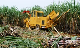 Vì sao ngành đường lãng phí năng lượng?