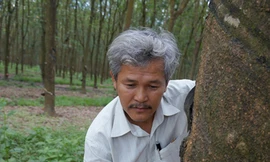 Cán bộ sai, dân lĩnh đủ