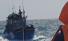 Nhiều giờ tìm kiếm trong thời tiết xấu, cứu tàu cá cùng 3 ngư dân về đến Côn Đảo an toàn