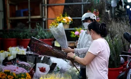 Giá hoa hồng Đà Lạt tăng kỷ lục trước ngày Valentine