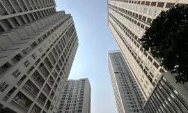 Năm nay xuống tiền mua bất động sản rất tốt?