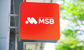 Cơ quan thanh tra yêu cầu MSB giải quyết vụ tiền gửi 'bốc hơi'