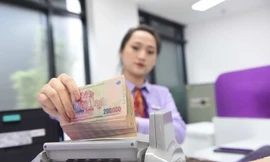Yếu tố nào tác động tới lợi nhuận ngân hàng năm nay? 